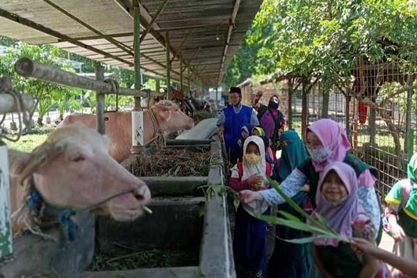 program - field trip 2 program - field trip 2